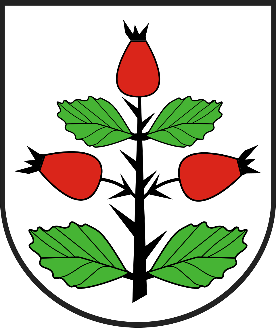 Herb Rzgów