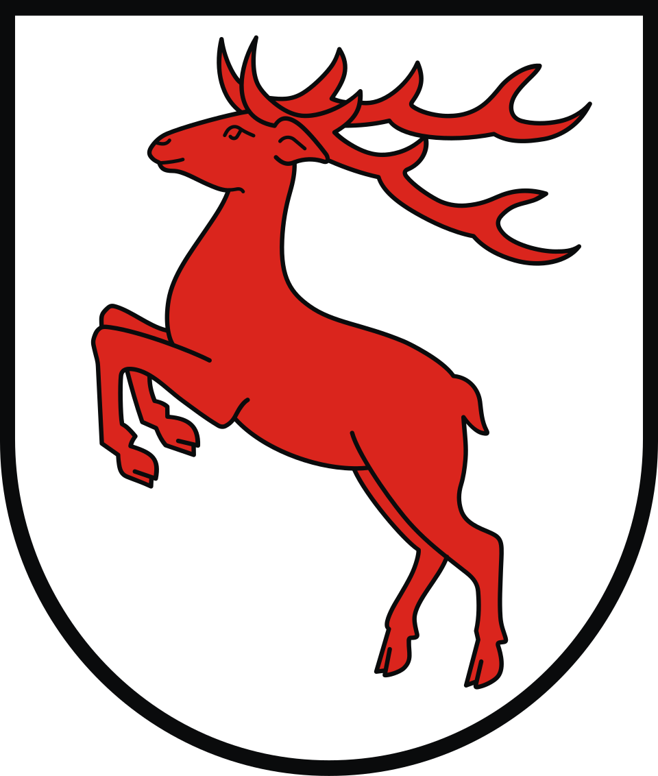 Herb brodnicki